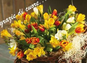 11196318_10203639967432536_6635227359059287960_n