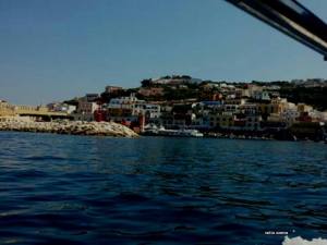 11889672_10204252865354601_3090845370095677492_n