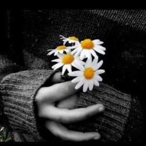 12003205_10204400463764469_7166116353484190052_n