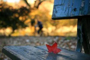 12038143_10204448071834641_4262128471653963338_n