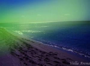 1513702_10203515843209508_7056531378347053598_n